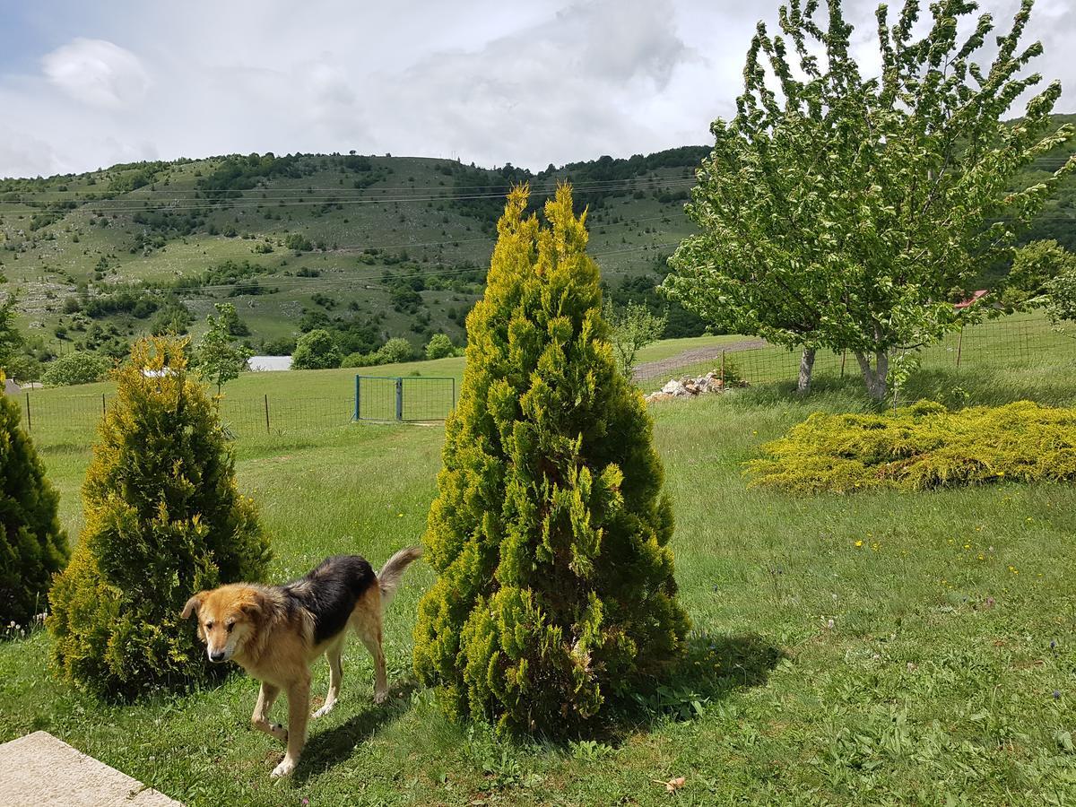 Holiday Home Zavicaj Plužine Dış mekan fotoğraf