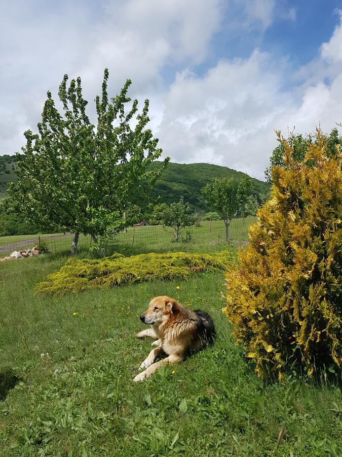 Holiday Home Zavicaj Plužine Dış mekan fotoğraf